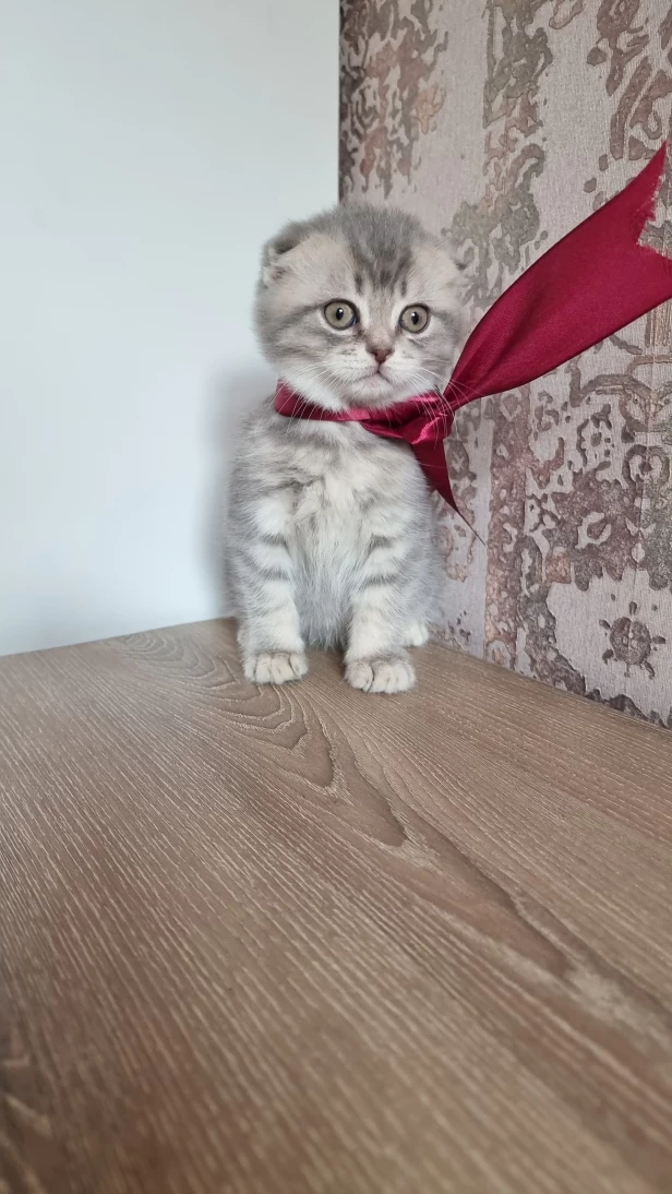 Продается