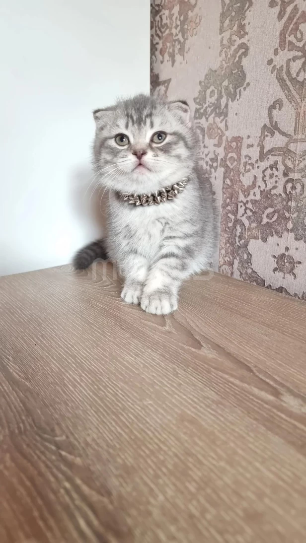 Продается