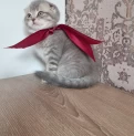 Продается