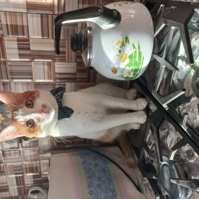 Татьяна