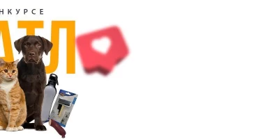 ФОТОБАТЛ 2